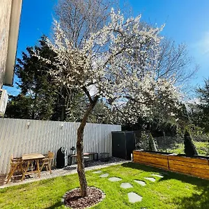 Nest Apartman
